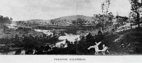 Paradise goldfield, c1897
