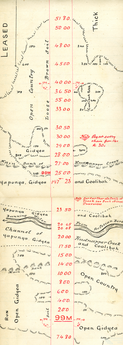 Rail survey plan depicting creek running with artesian water, 1895