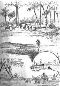 Sketches of Wolfgang Strike camp, shearers on strike, 1891