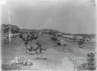 Mungana, c1909