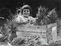 Girl sitting in a crate of Queensland pineapples, 1924