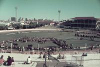 Cattle judging, main arena, Brisbane exhibition, Bowen Hills, c1980s