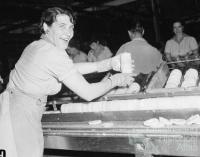 Mrs E Buikstra checks slices of pineapple for faults, Northgate cannery, 1959