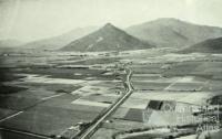 Aerial view of Gordonvale and surrounding cane farms, 1954