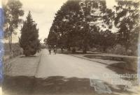 Women cycling through the Botanic Gardens, Brisbane, 1896