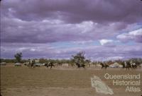 Thylungra station polo cross, west of Quilpie, 1976