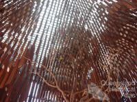 Inside the Tree of Knowledge Memorial, Barcaldine, 2009