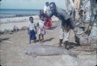 Dugong hunting, Torres Strait, 1958