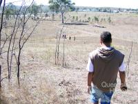 Walking out bush, Cherbourg, 2010