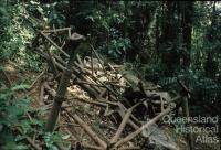 Remains of the 1937 Stinson airplane crash, Lamington National Park, 1978