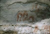 Aboriginal art, Carnarvon Gorge, 1979