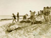 A group of visitors prepare for turtle riding at Mon Repos, c1930