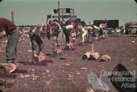 Men's woodchop, Goombungee show, c1960