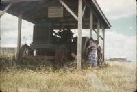 Jimbour House, 1958