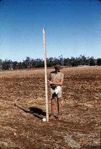 Surveying contour bank, Murgon, 1958