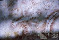 Aboriginal rock art, Carnarvon National Park, 1967