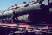 Dismantled telephone poles to be burnt, 1979