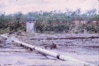 Damage caused by Cyclone Ada, Collinsville, 1970