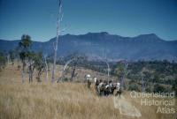 Bushwalking Club, University of Queensland, 1958-59