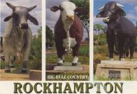 Big bull country, Rockhampton, c1988