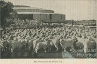 Woolshed at Isis Downs, 1933