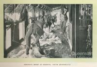 Shearing sheep at Jimbour Homestead, 1912