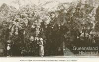 Nindooinbah Homestead garden, Beaudesert, 1935