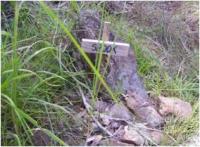 Memorial, Tamborine Mountain Road, 2009