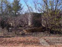 Stumps and corrugated iron tanks, Mungana