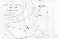 Plan of Asylum Estate Woogaroo (Goodna)