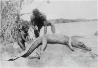 Crocodile skinning, North Queensland, 1946