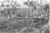 The small cemetery at Kingsborough