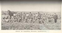 Group of South Sea Islanders, Watawa Plantation, Bingera, 1897