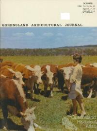 Hereford Herd, Coolum Research Station, 1966