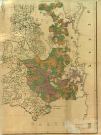 Map of the southern portion of the colony of Queensland showing the surveyed runs, 1872, Sheet 1