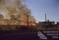 Burning sugar cane near Cairns, 1965