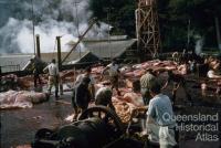 Flensing deck, Tangalooma whaling station, 1960