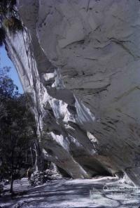 Aboriginal paintings, Carnarvon National Park, 1965