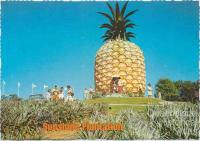 The Big Pineapple, Woombye