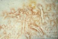 Aboriginal rock art, Carnarvon Gorge, 1980