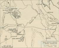 Grain sorghum growing in central Queensland, Walkabout, June 1951