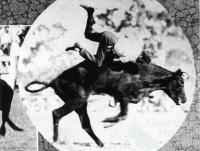 Bull riding at the Mount St John rodeo, 1933