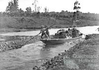 Chinese transporting bananas by punt, Innisfail, c1885