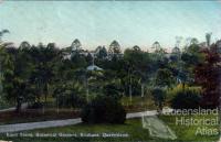 Brisbane Botanic Gardens