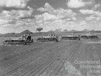 Planting the first sorghum crop on Peak Downs, January 1949