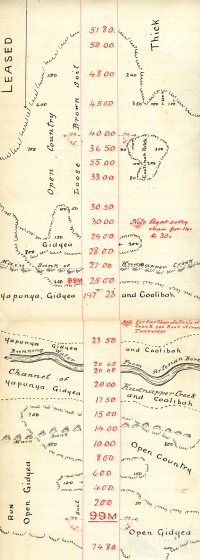 Rail survey plan depicting creek running with artesian water, 1895