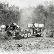 Nil Desperandum commune, 1894