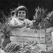 Girl sitting in a crate of Queensland pineapples, 1924