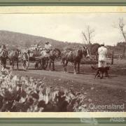 Carting prickly pear near Kingsthorpe, 1920s