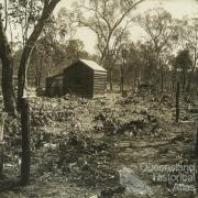 Prickly pear treatment, Chinchilla, 1928-29